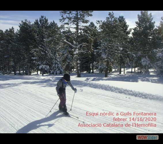 Guils02-2020