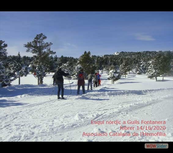 Guils03-2020